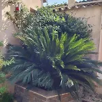 Cosy Avec Terrasse & Hamac, Calme, Proche Plage, Parking Horská chata Grimaud