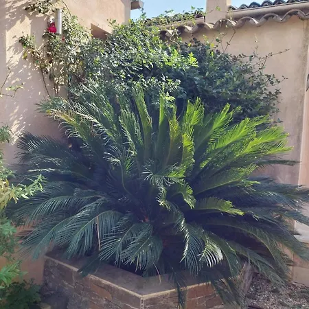 Cosy Avec Terrasse & Hamac, Calme, Proche Plage, Parking, Nc Chalet Grimaud